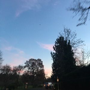 Meet your Posher, Molly